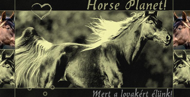 |wWw.HoRsE-PlAnEt.GpOrTaL.Hu|  Horse Planet! Lovak minden mennyisgen for you!